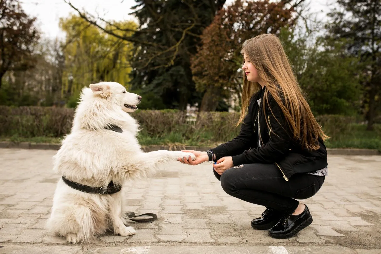dívka se psem v parku